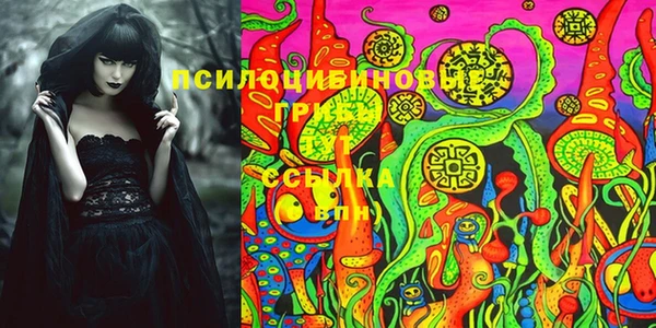 не бодяженный Алексин