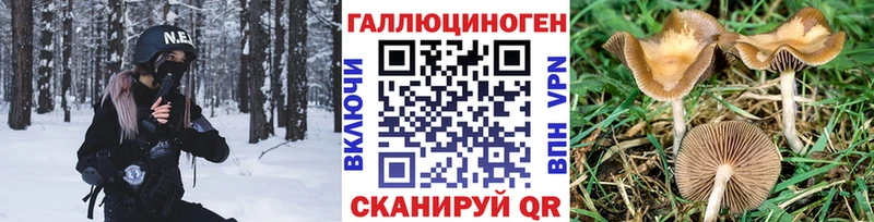 Галлюциногенные грибы MAGIC MUSHROOMS  Купить закладки  Судак 